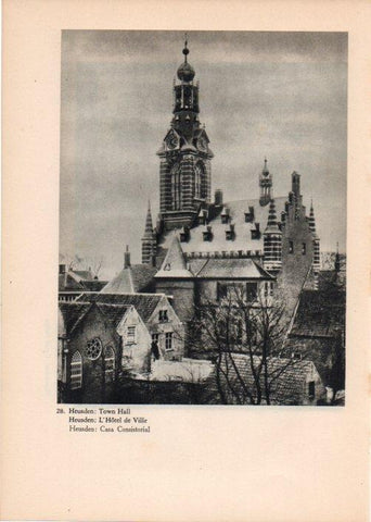 LAMINA V14740: Casa Consistorial de Heusden, Holanda 