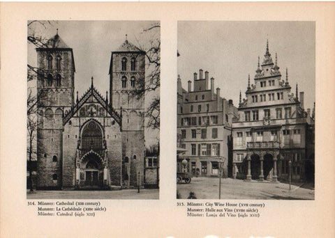 LAMINA V14861: Catedral y Lonja del Vino de Munster, Alemania