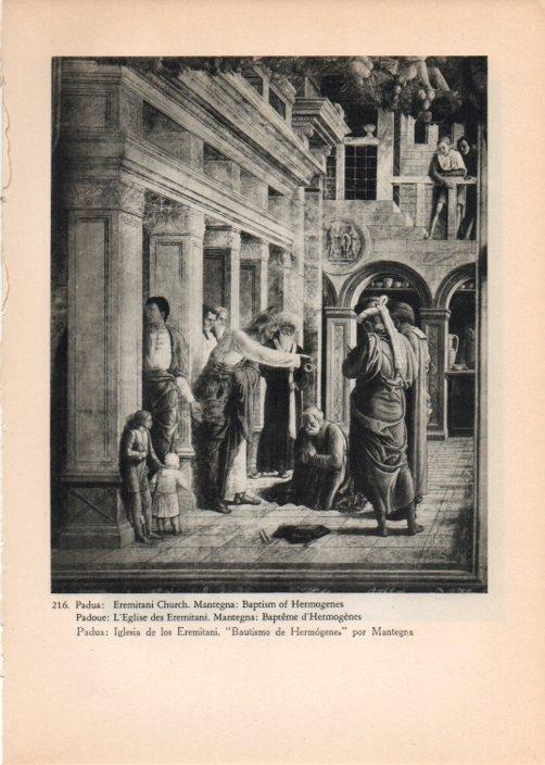 LAMINA V14822: Bautismo de Hermogenes, Iglesia de los Eremitani en Padua