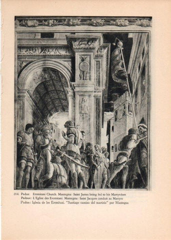 LAMINA V14821: Frescos de la Iglesia de los Eremitani en Padua