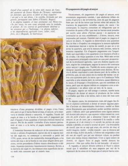 LAMINA V14642: Detall d'un capitell del Monestir de Santa Maria de l'Estany