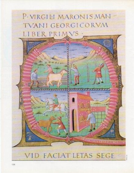 LAMINA V14641: Caplletra Q, codex del segle XV de les obres de Virgili