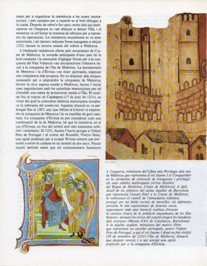 LAMINA V14587: Llibre dels Privilegis dels reis de Mallorca