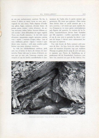 LAMINA V15109: Estacions neolitiques a la Cova del Foric d'Os de Balaguer