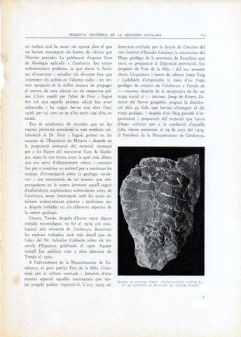 LAMINA V15105: Motlle de tortuga fossil de les pedreres de Montjuic de Girona