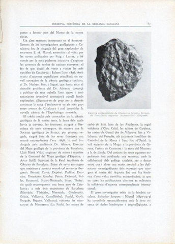 LAMINA V15104: Escorça de Stigmaria ficoides Brongn d'Ogassa