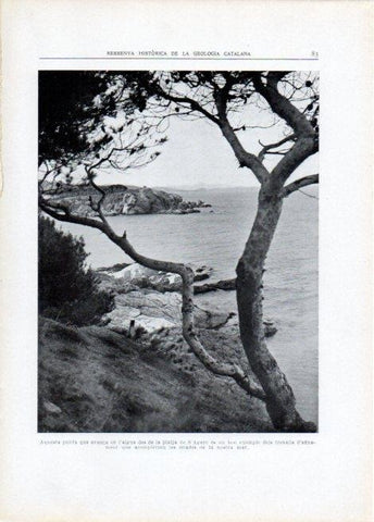 LAMINA V15102: Vista des de la platja de S'Agaro