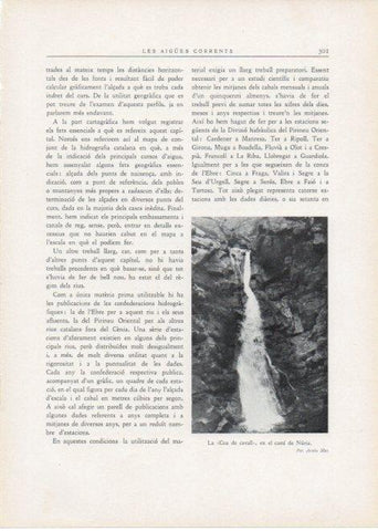 LAMINA V15166: La Cua de cavall en el cami de Nuria