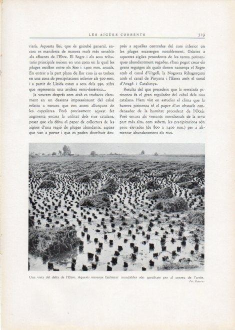 LAMINA V15175: Vista del delta de l'Ebre