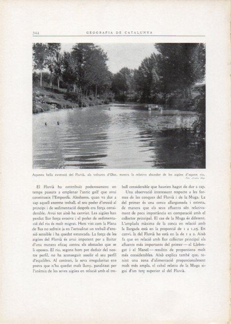 LAMINA V15184: Extensio del Fluvia als voltants d'Olot