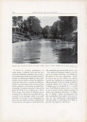 LAMINA V15184: Extensio del Fluvia als voltants d'Olot