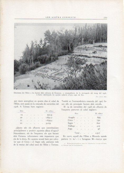 LAMINA V15183: Destroces de l'Ebre a les hortes de Ginestar al maig 1936