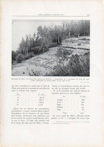 LAMINA V15183: Destroces de l'Ebre a les hortes de Ginestar al maig 1936