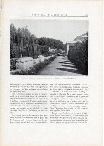 LAMINA V15122: Sepulcres romans al jardi de la Fabrica de Tabacs, Tarragona