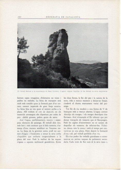 LAMINA V15134: Cavall Bernat a la muntanya de Sant Llorenç