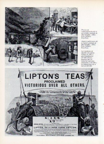 LAMINA V14953: Publicidad de te Lipton grabado de The Graphic 1892