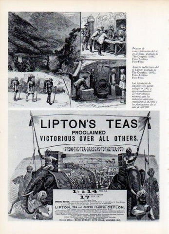 LAMINA V14953: Publicidad de te Lipton grabado de The Graphic 1892