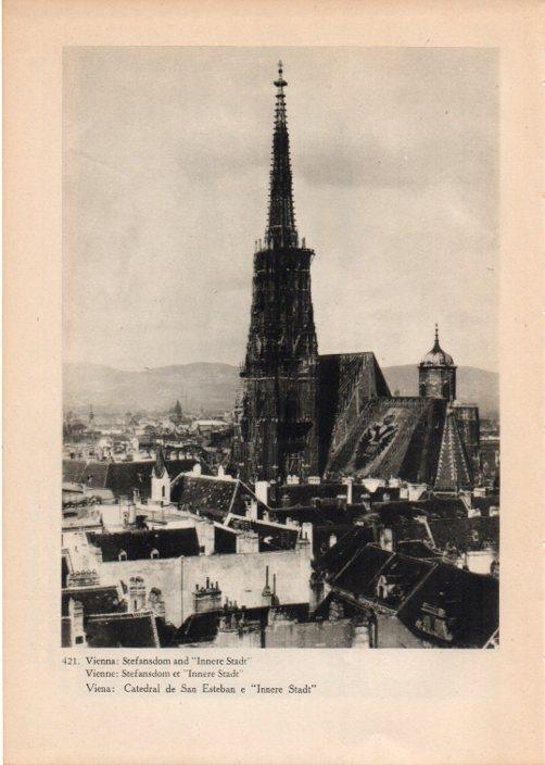 LAMINA V14901: Catedral de San Esteban en Viena