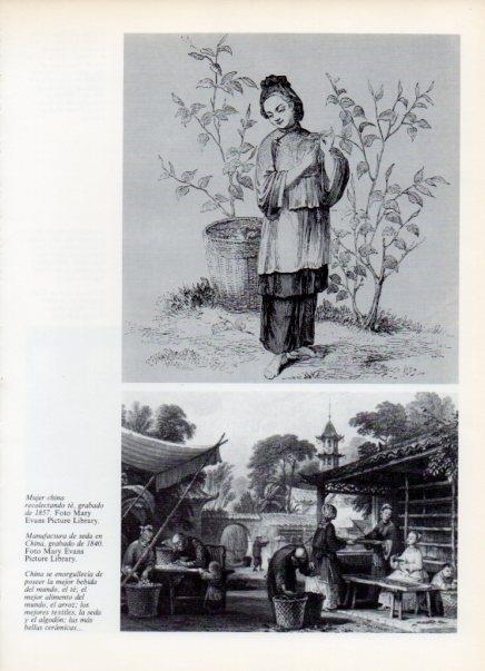 LAMINA V15015: Manufactura de seda en China grabado de 1840