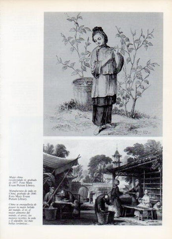 LAMINA V15015: Manufactura de seda en China grabado de 1840