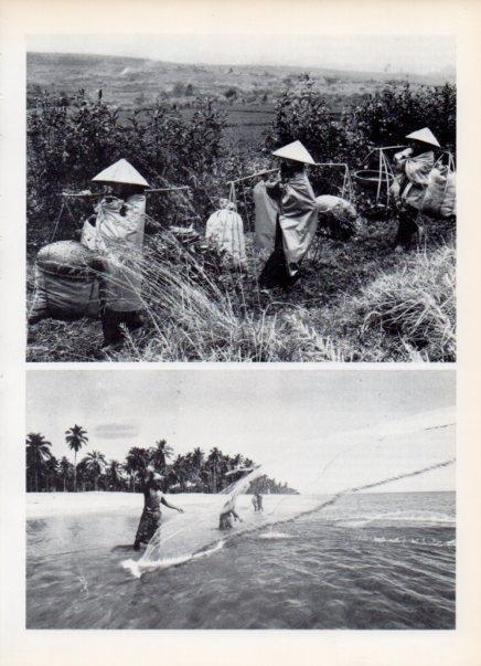LAMINA V14976: Pesca de camarones en Malaysia