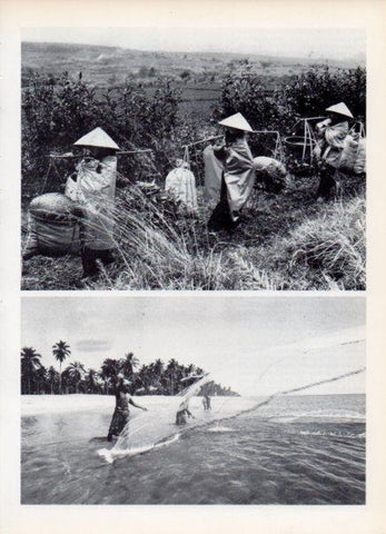 LAMINA V14976: Pesca de camarones en Malaysia