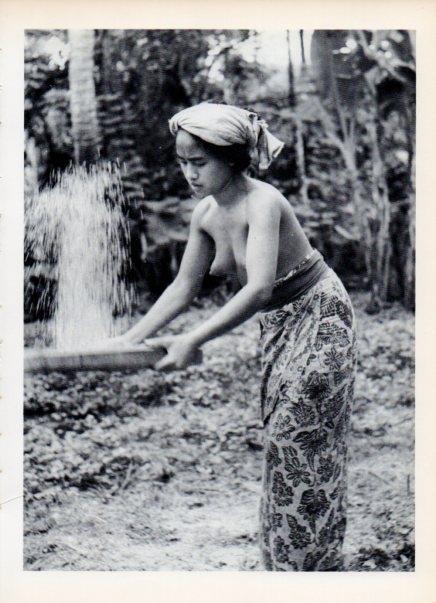LAMINA V14975: Mujer de Indonesia aventando arroz