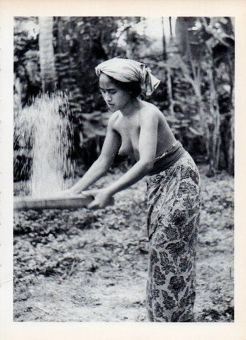 LAMINA V14975: Mujer de Indonesia aventando arroz