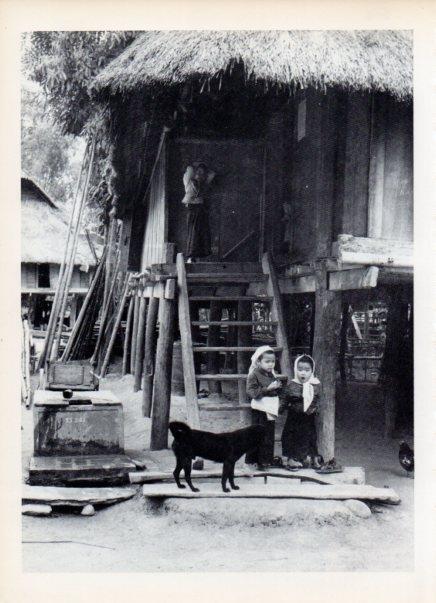 LAMINA V14974: Casa de Vietnam