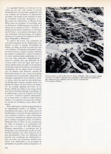 LAMINA V14973: Terrazas de cultivo del arroz en Luzon, Filipinas
