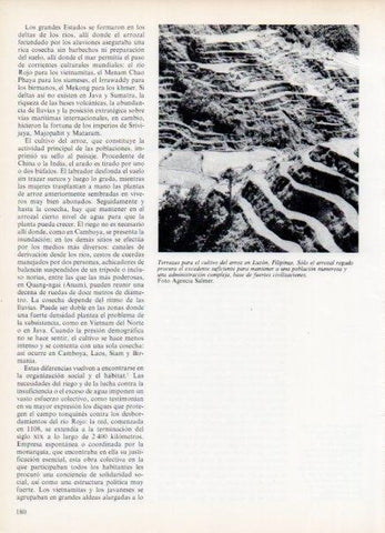 LAMINA V14973: Terrazas de cultivo del arroz en Luzon, Filipinas