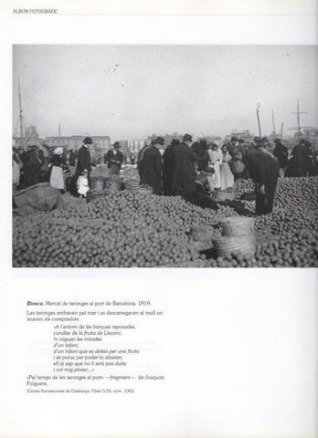 LAMINA V16266: Mercado de naranjas en el puerto de Barcelona año 1919