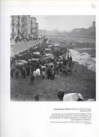LAMINA V16262: Mercado de l'Areny en Girona enero de 1912