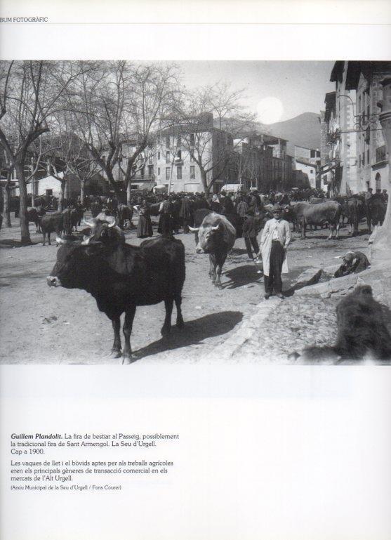 LAMINA V16261: Feria de los animales en la Seu d'Urgell en 1900