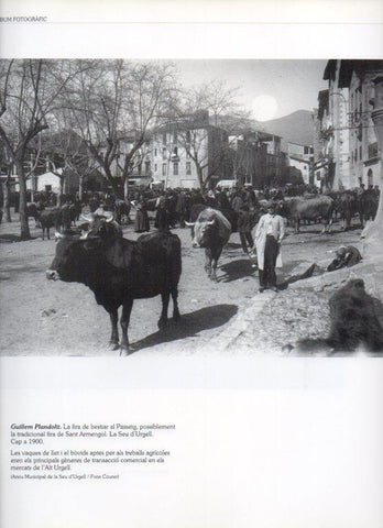 LAMINA V16261: Feria de los animales en la Seu d'Urgell en 1900