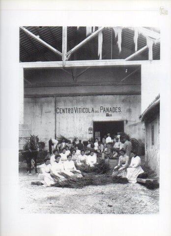 LAMINA V16287: Empleadas del Centre Viticola del Penedes principios de 1900