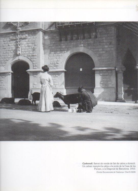 LAMINA V16212: Cabrero frente la Casa de les Punxes en Barcelona 1910