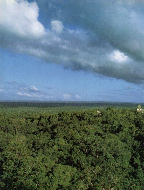 LAMINA V18271: Vista aerea desde el Templo de las Mascaras