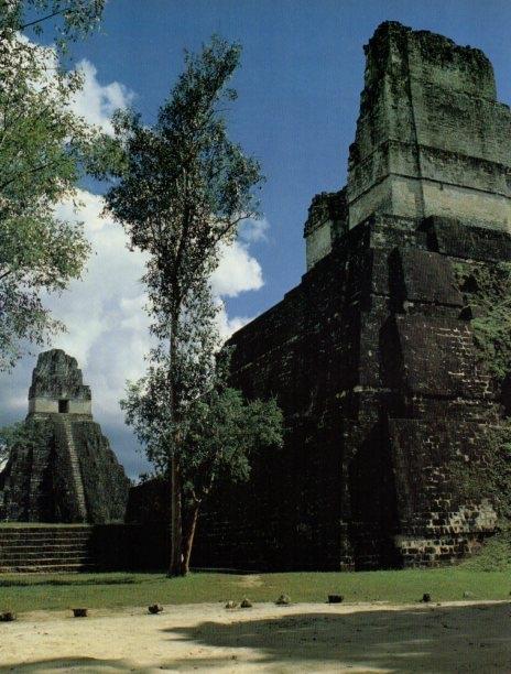 LAMINA V18272: Panoramica frontal de la Acropolis de Tikal