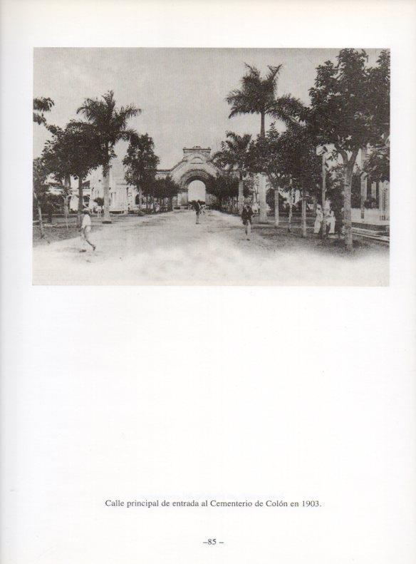 LAMINA V19923: La Habana. Calle principal del Cementerio de Colon 1903