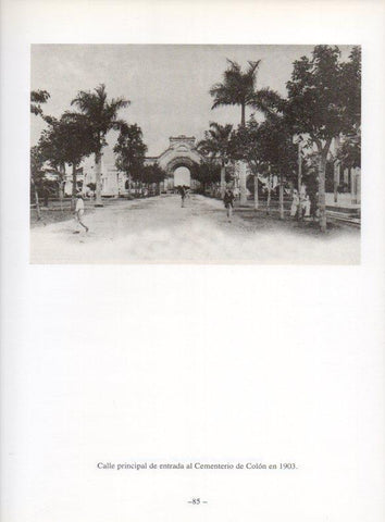 LAMINA V19923: La Habana. Calle principal del Cementerio de Colon 1903