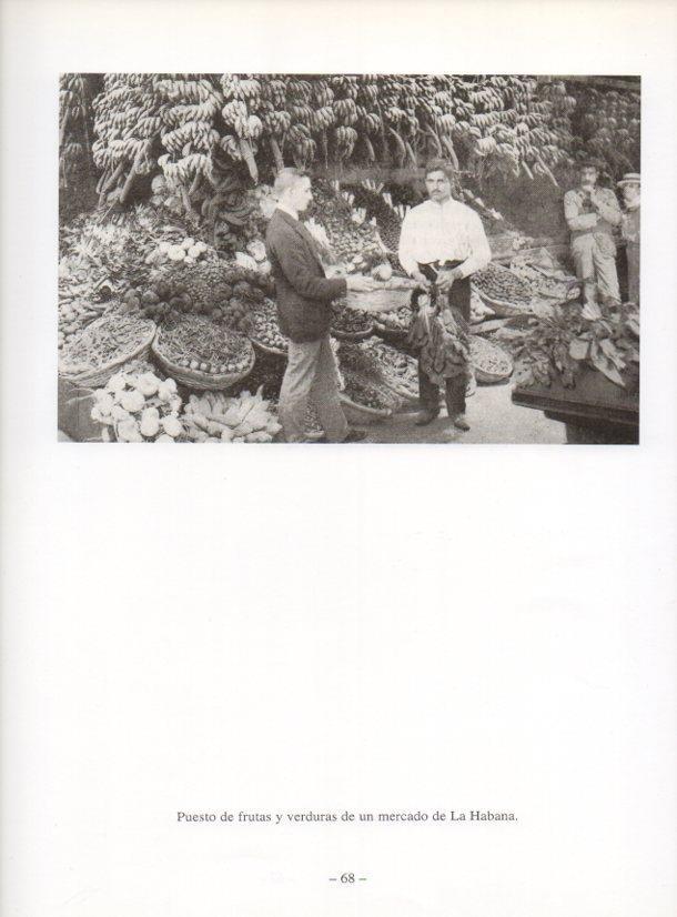LAMINA V19914: La Habana. Puesto de frutas y verduras
