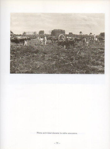 LAMINA V19918: La Habana. Trabajadores en la zafra azucarera