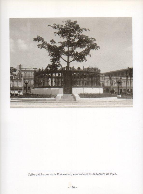 LAMINA V19943: La Habana. Ceiba del Parque de la Fraternidad
