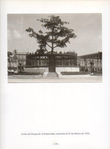 LAMINA V19943: La Habana. Ceiba del Parque de la Fraternidad