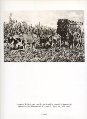 LAMINA V19957: La Habana. Carreta de bueyes cargada de caña de azucar