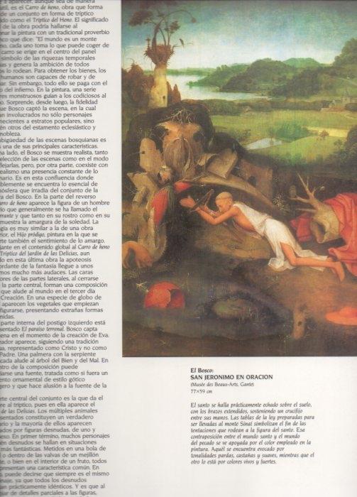LAMINA V20465: San Jeronimo en oracion por El Bosco