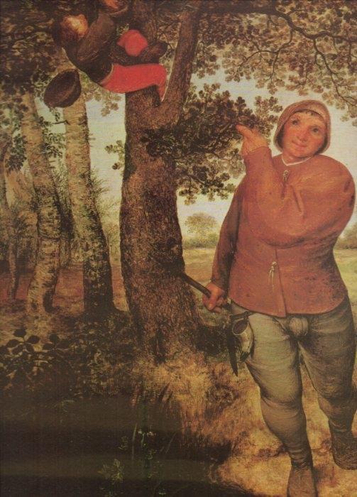 LAMINA V20457: El ladron de nidos por Bruegel el Viejo