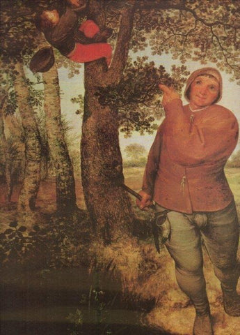 LAMINA V20457: El ladron de nidos por Bruegel el Viejo