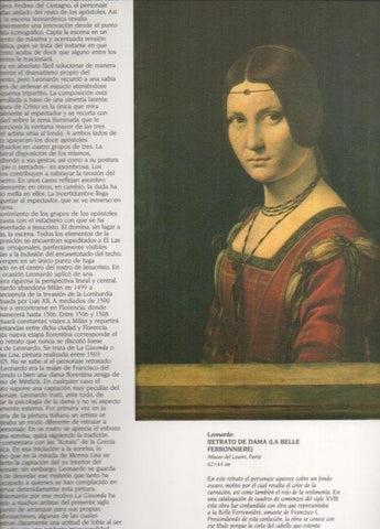 LAMINA V20418: Retrato de dama o Belle Ferronniere por da Vinci